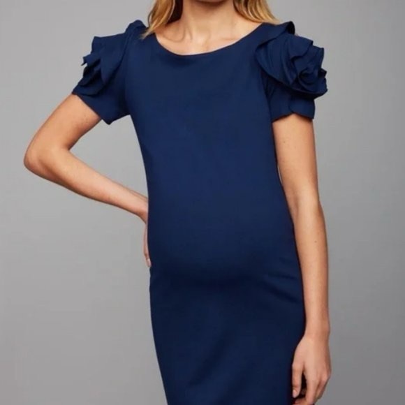 Pietro Brunelli Elegant Navy Blue Ruffle Sleeve Maternity Dress - Picture 1 of 7